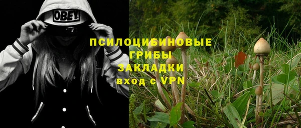 гидропоника Лабытнанги