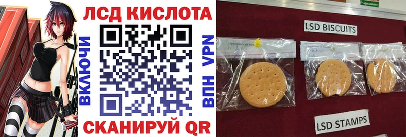 Купить закладки  Заречный  Наркотические марки 1,5мг 