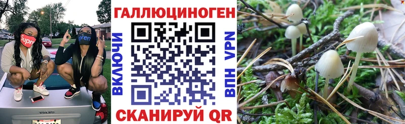 Купить где  Заречный  Галлюциногенные грибы Magic Shrooms 